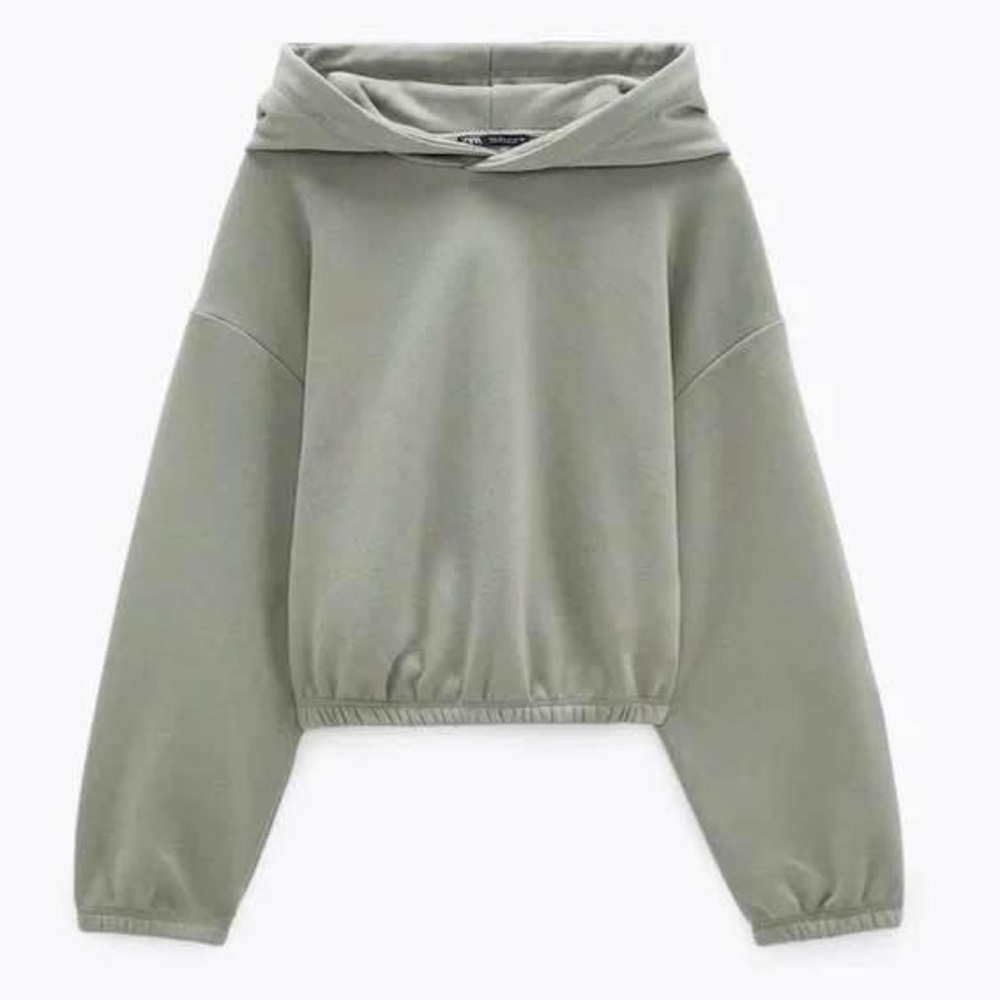 Zara Cropped Hoodie